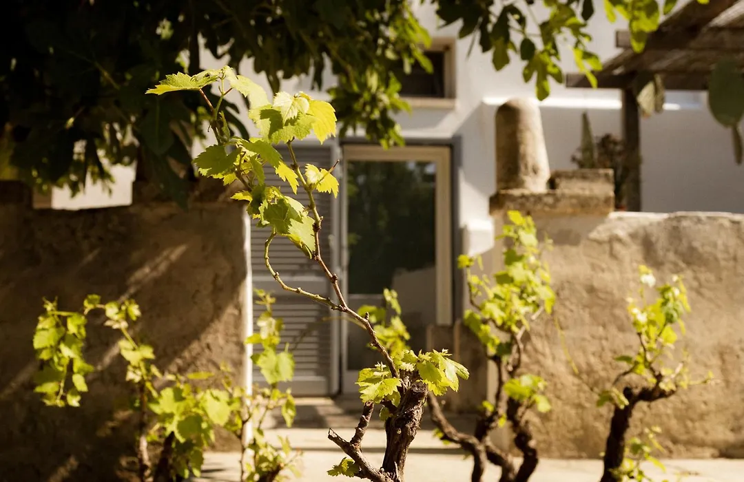 Casale alle Vigne-1